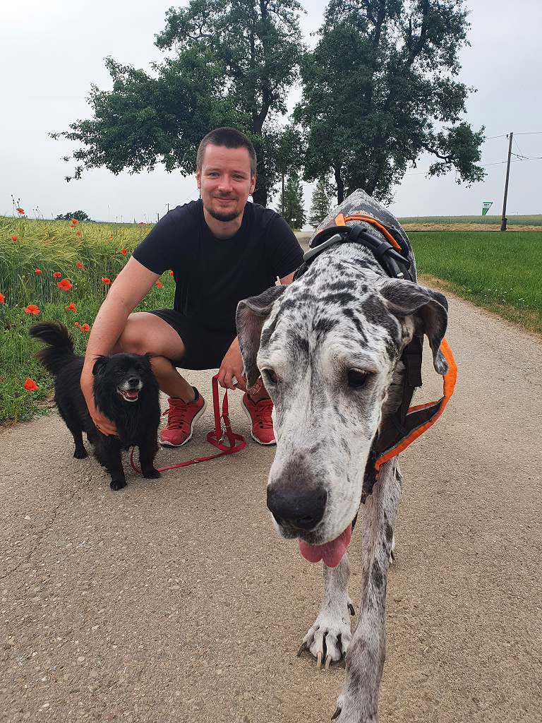 Felix Petter mit Hunden Vicky und Poncho vom Gassiservice Gilching